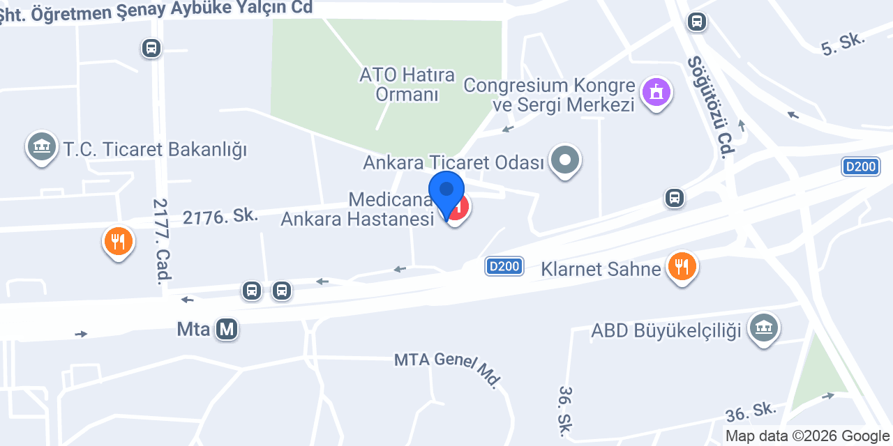 Doç. Dr. Ersin Sarıçam konumu