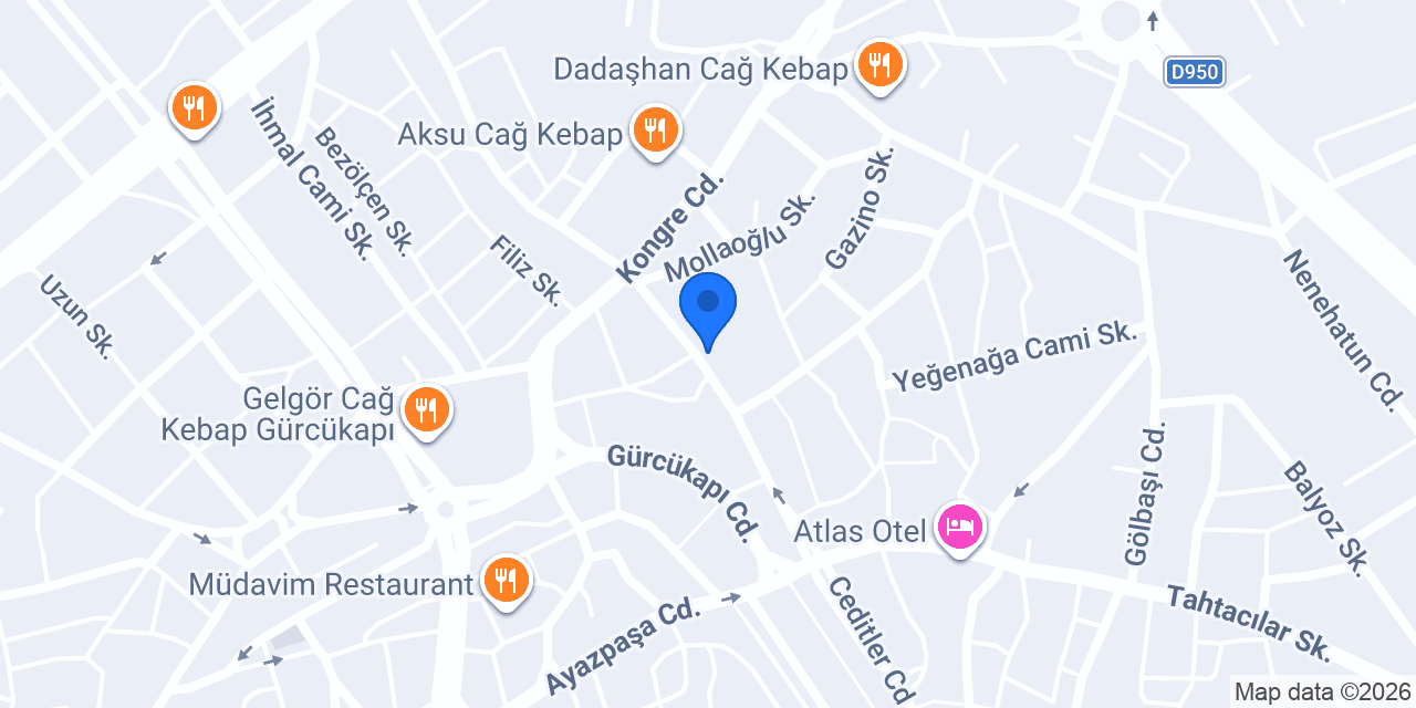 ASLAN TOPTAN konumu