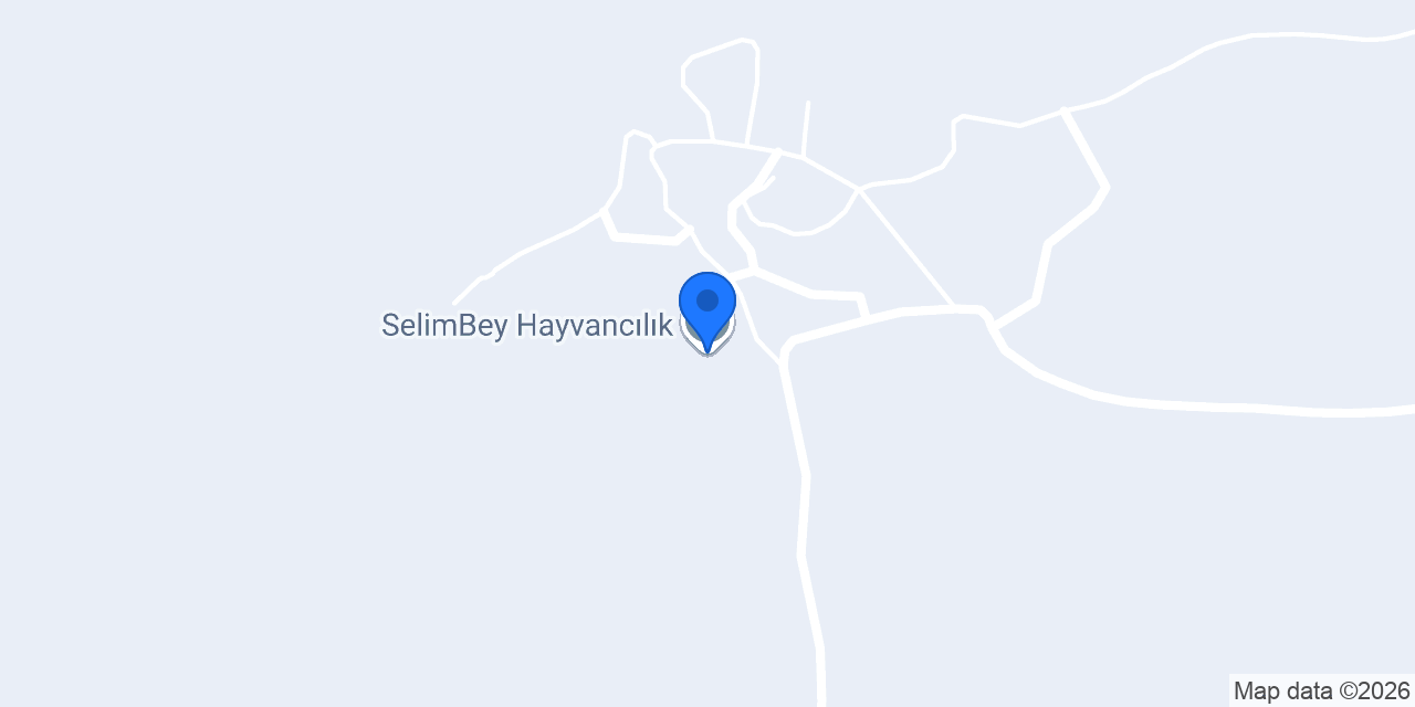 SelimBey Hayvancılık konumu