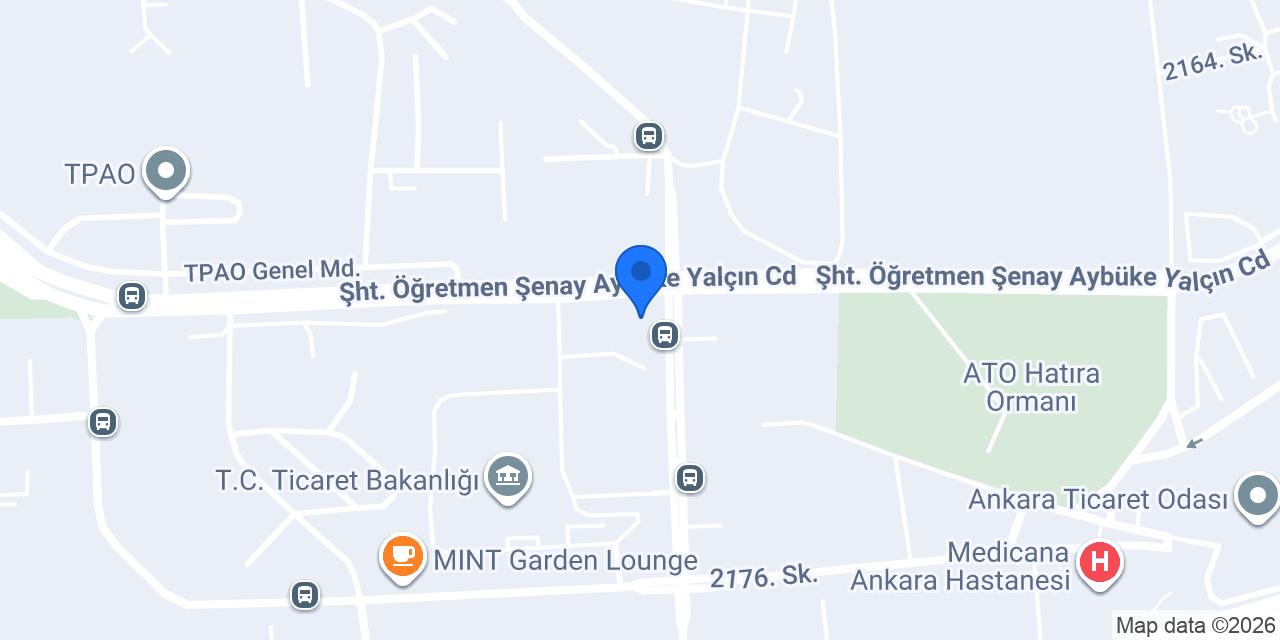 BG KUZEY GRUP konumu