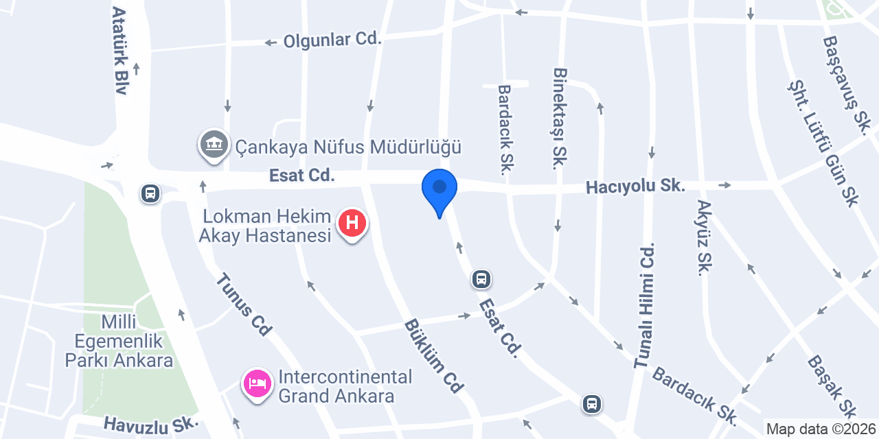 Begonvil Çiçek konumu
