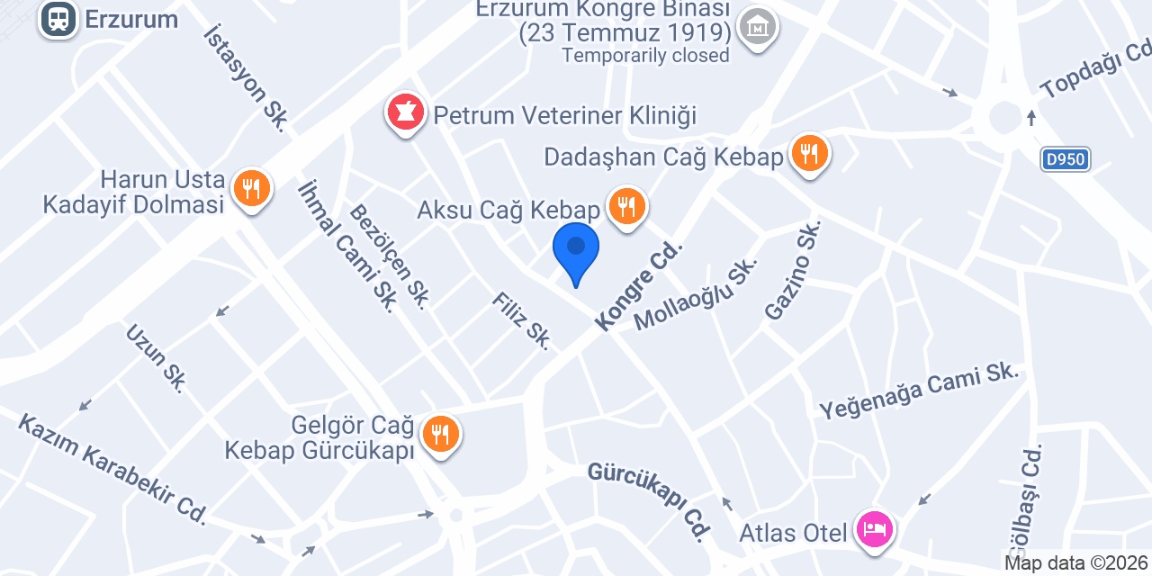 Özyurt Demircisi konumu
