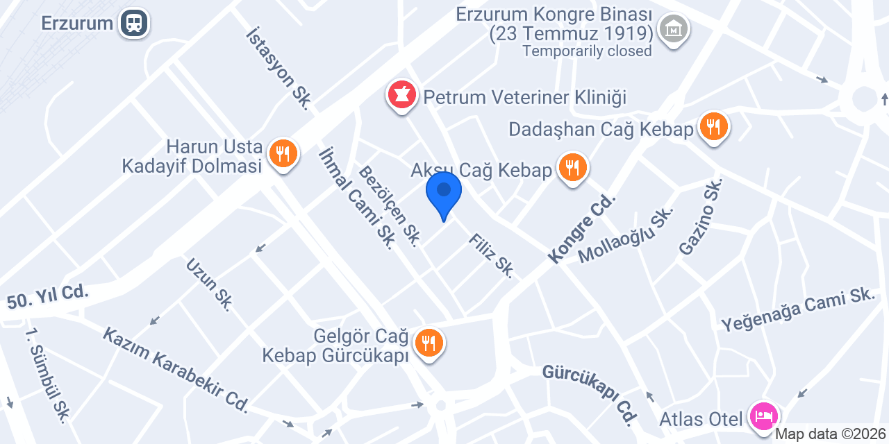 ÇAYKARA ELEKTRİK konumu