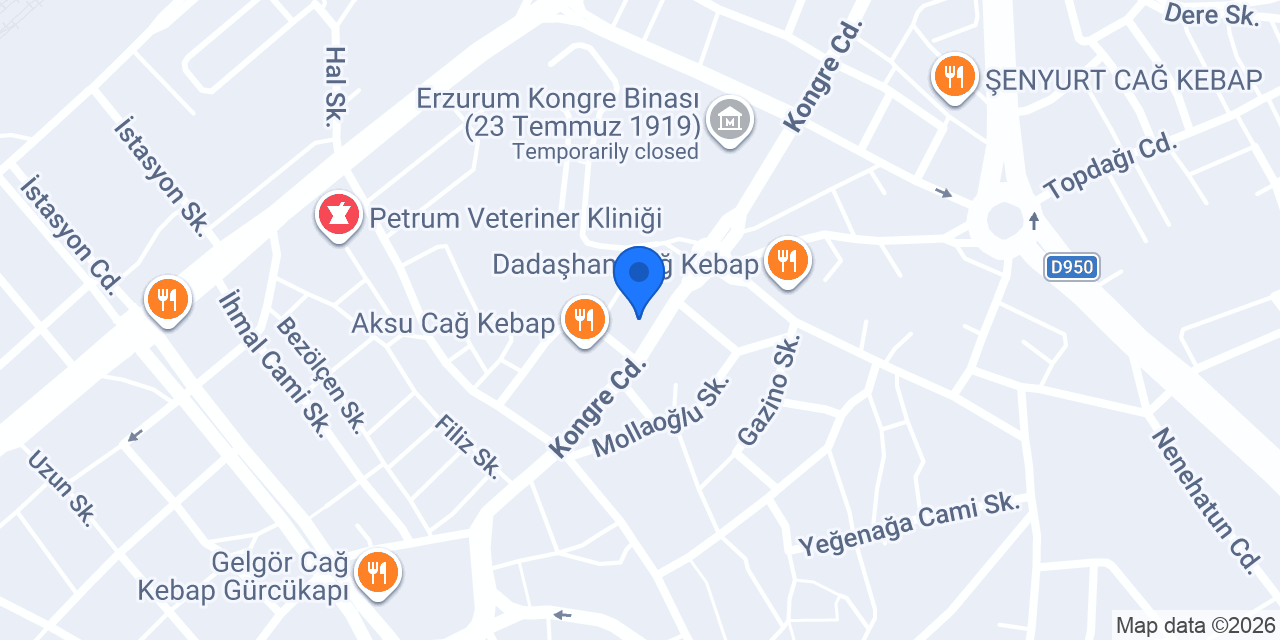 Kâmil Koç konumu