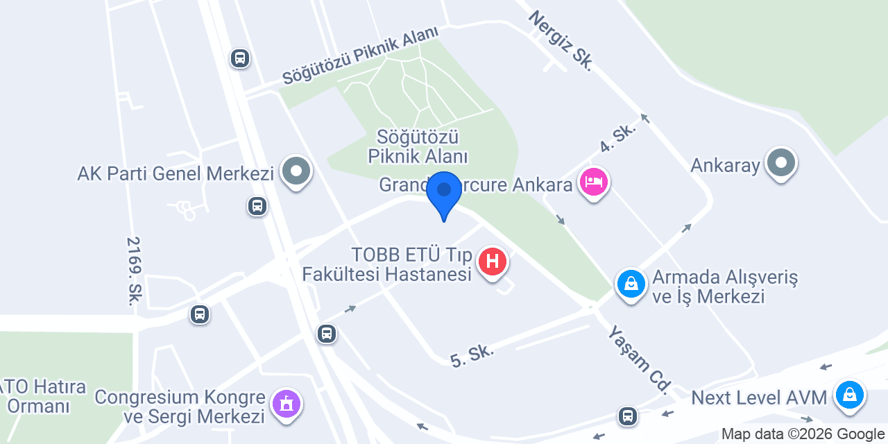 Prof. Dr. Saadet Arsan konumu
