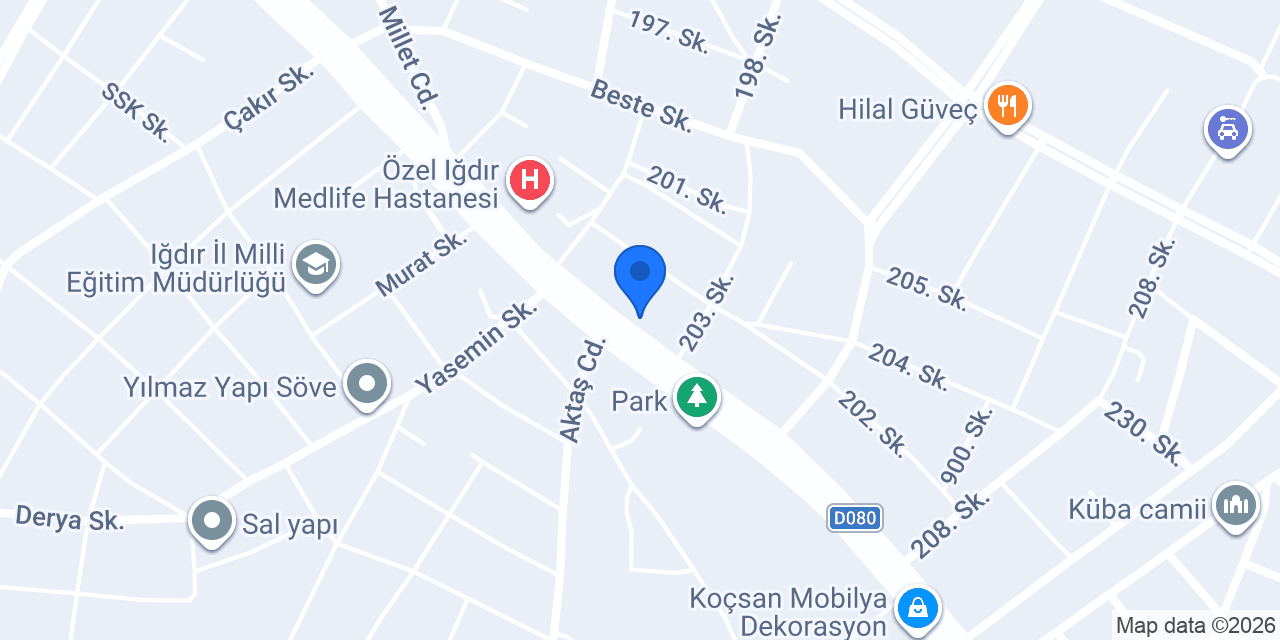 Cesur Bingöl Iğdır Şubesi konumu