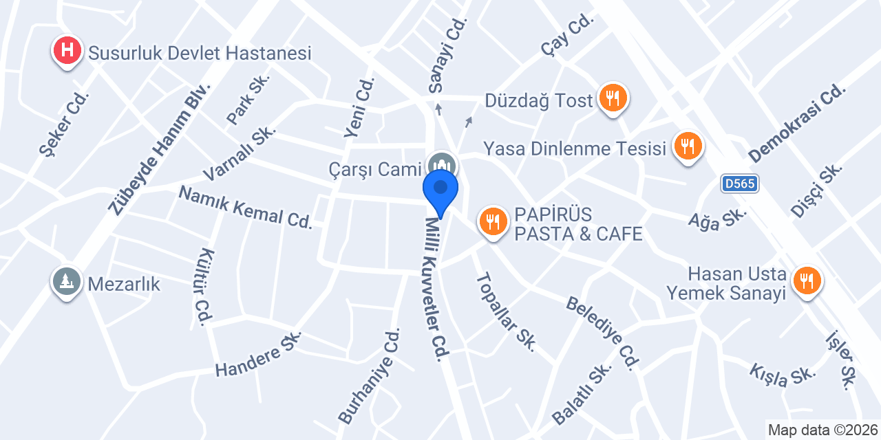Ela Eczanesi konumu