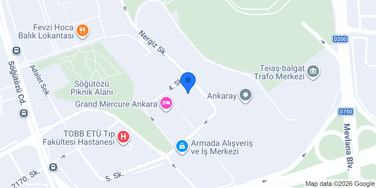 Sistem Global Danışmanlık konumu