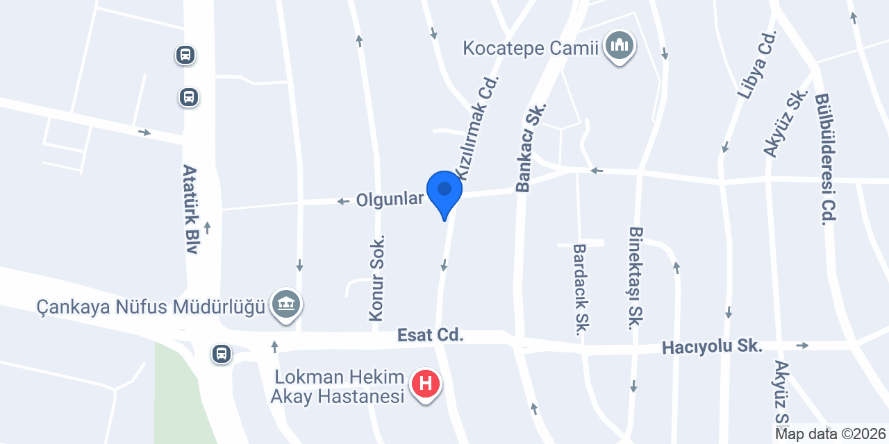 Rolik sushi Ankara konumu