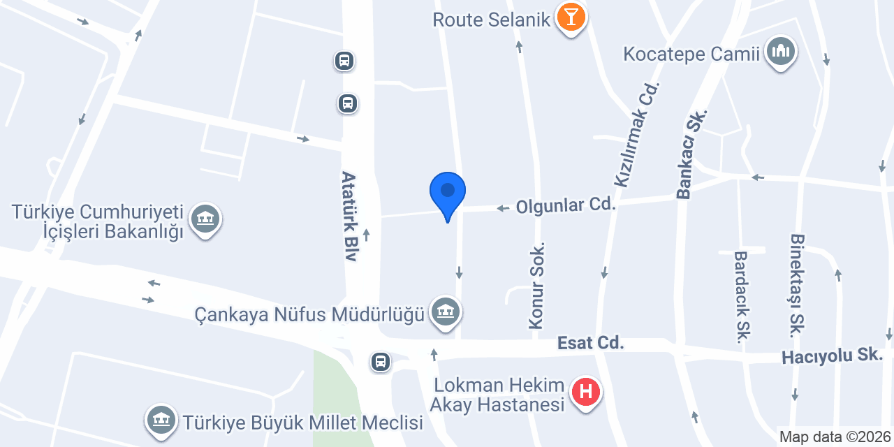 Palme Kitabevi konumu