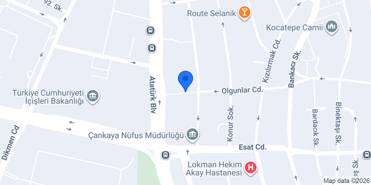 Tulpar İnk Tattoo konumu