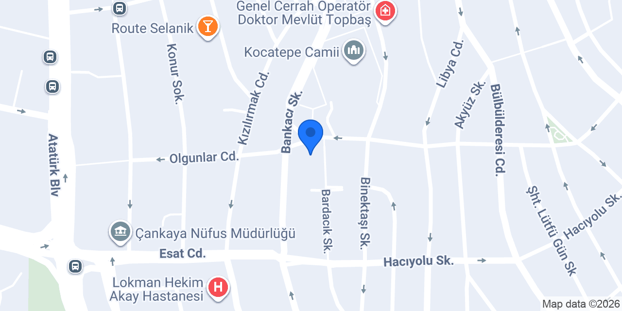 Sebonun Yeri Cağ Kebap konumu