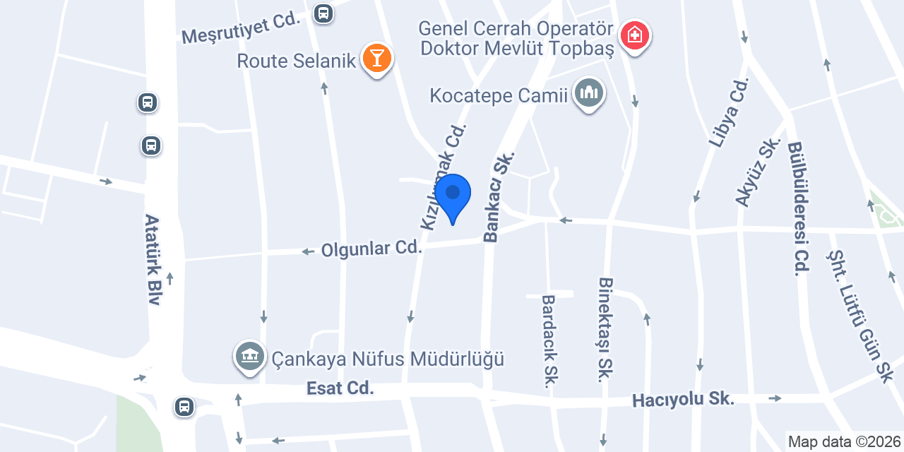 Olgunlar Taksi konumu