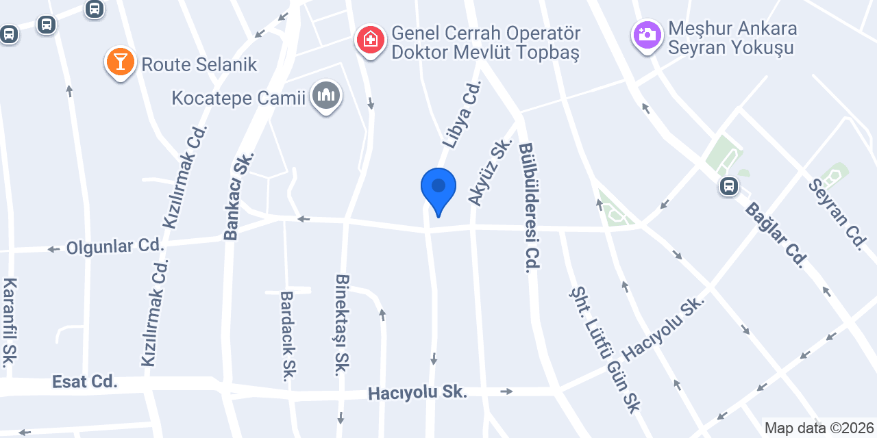 Karnaval Panayır Organizasyon Ankara konumu
