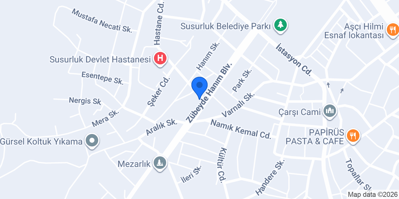SUSURLUK OPTİK konumu