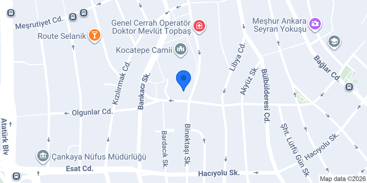 alper oto lastik konumu