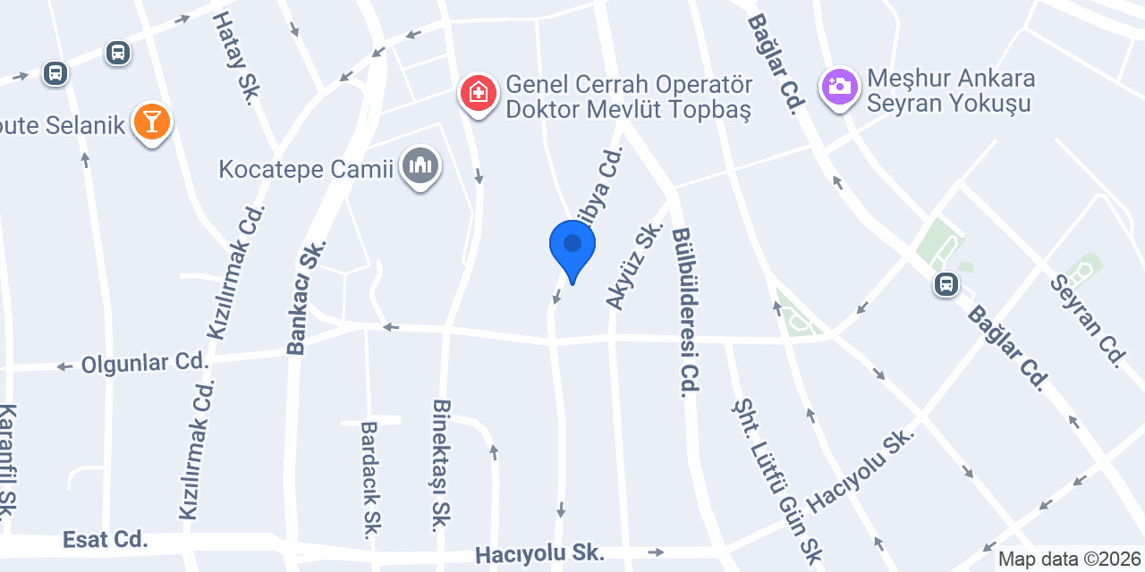 SERDAR RENT A CAR konumu