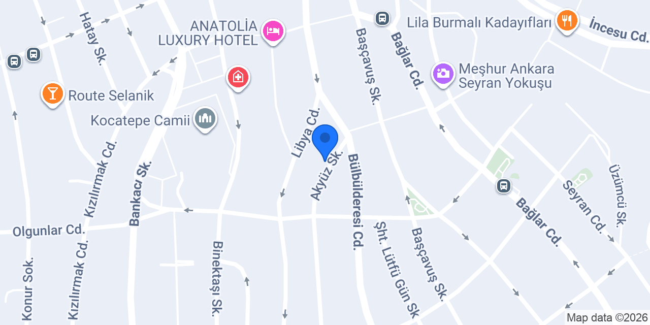 Dilek Elektrik & Elektronik konumu
