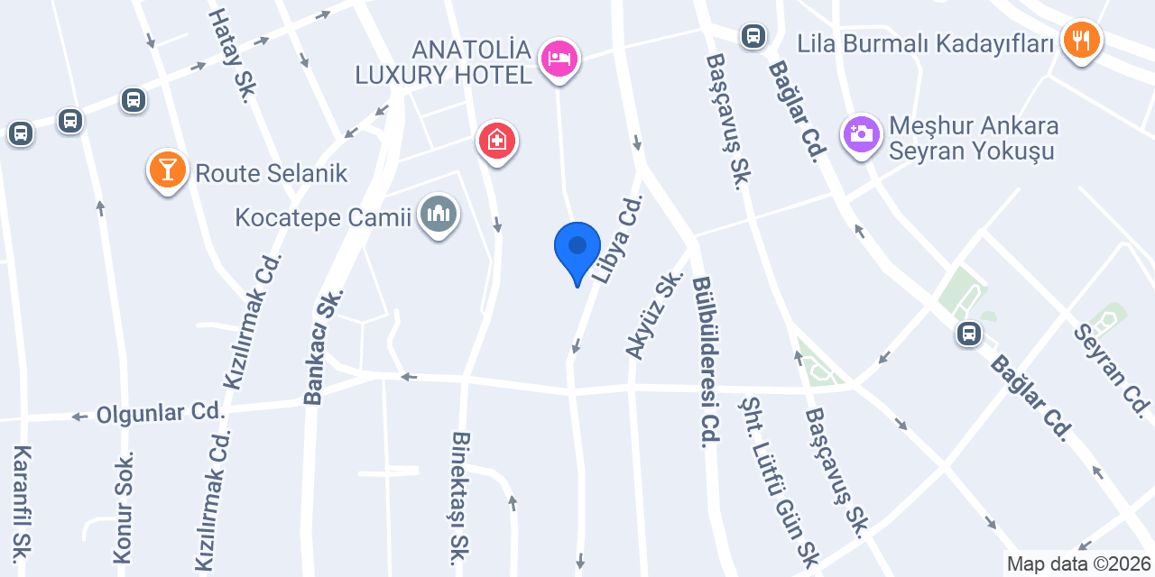 AUTO 360 SERVİCE konumu