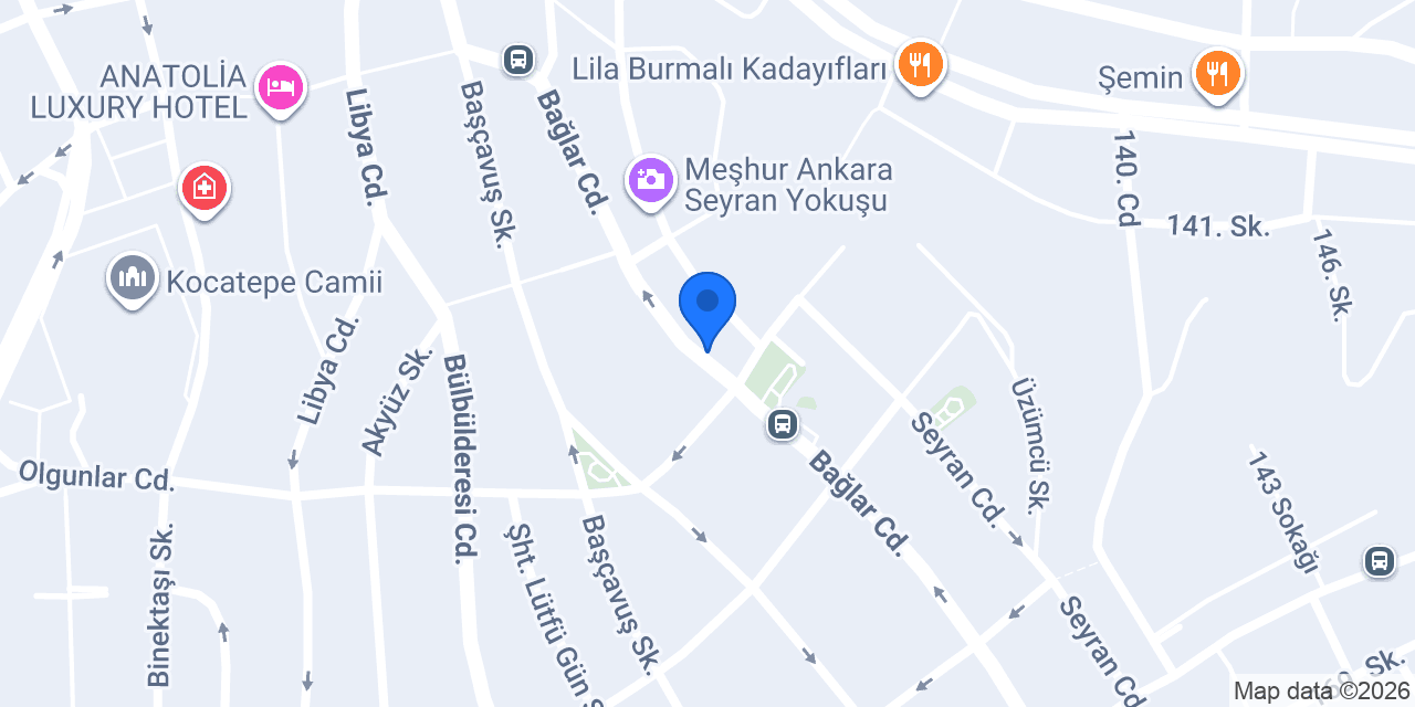 Efe Petshop konumu