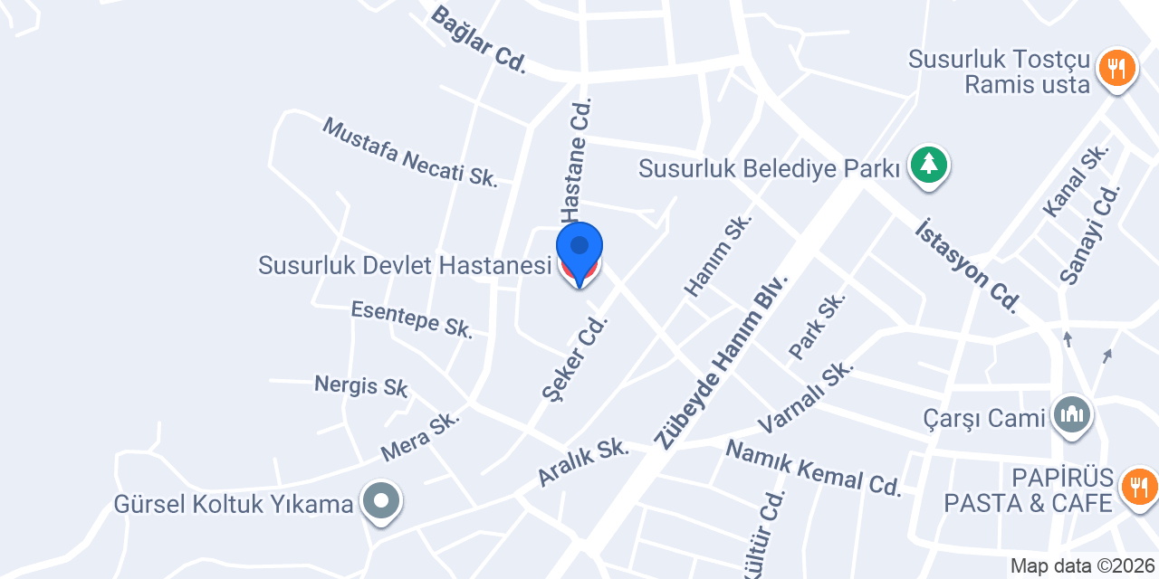 Susurluk Devlet Hastanesi konumu