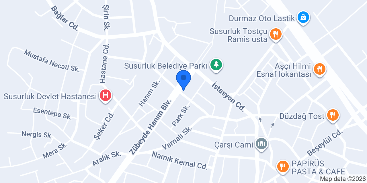 Özce lezzet istasyonu konumu