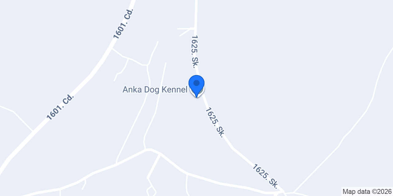 Anka Dog Kennel konumu