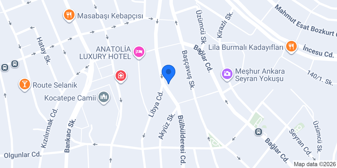 Aras Rent A Car konumu