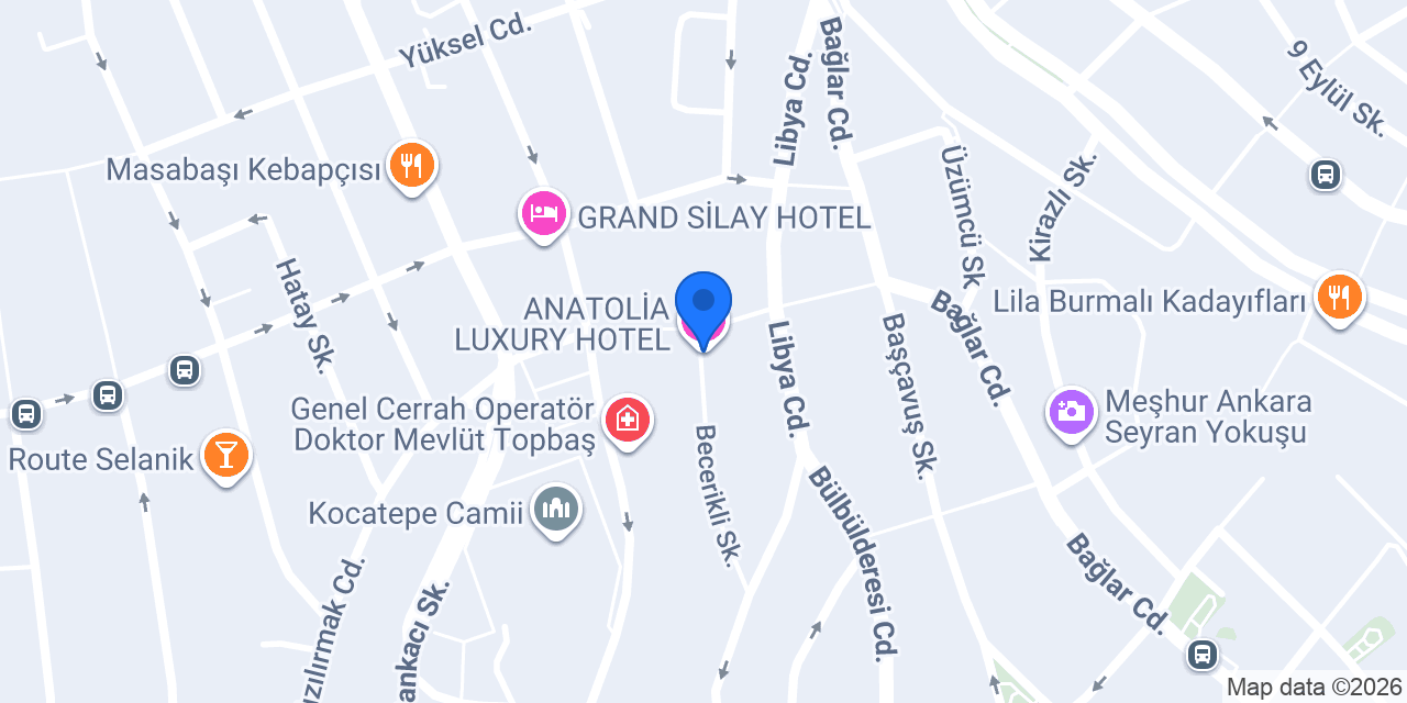 ANATOLİA LUXURY HOTEL konumu