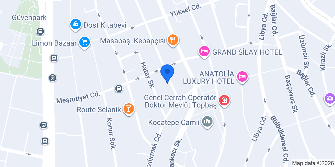 Vize Prime Danışmanlık konumu