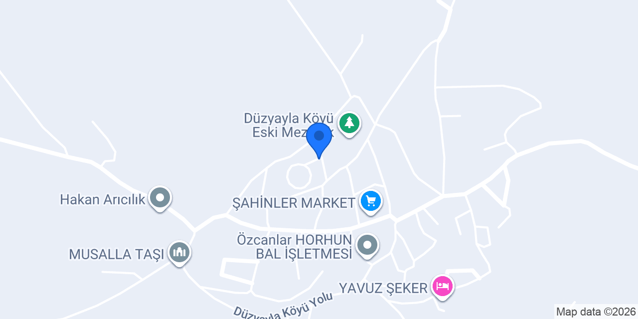 DÜZYAYLA İLK OKULU konumu