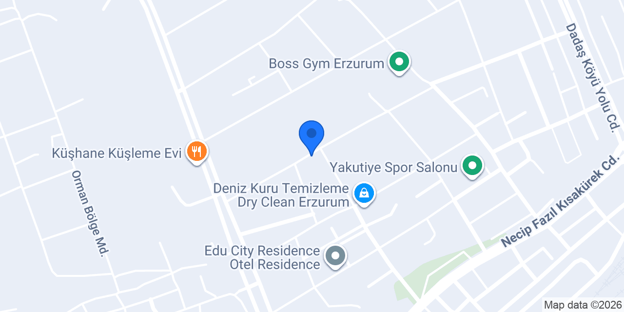 ÇEŞNİ MANTI konumu