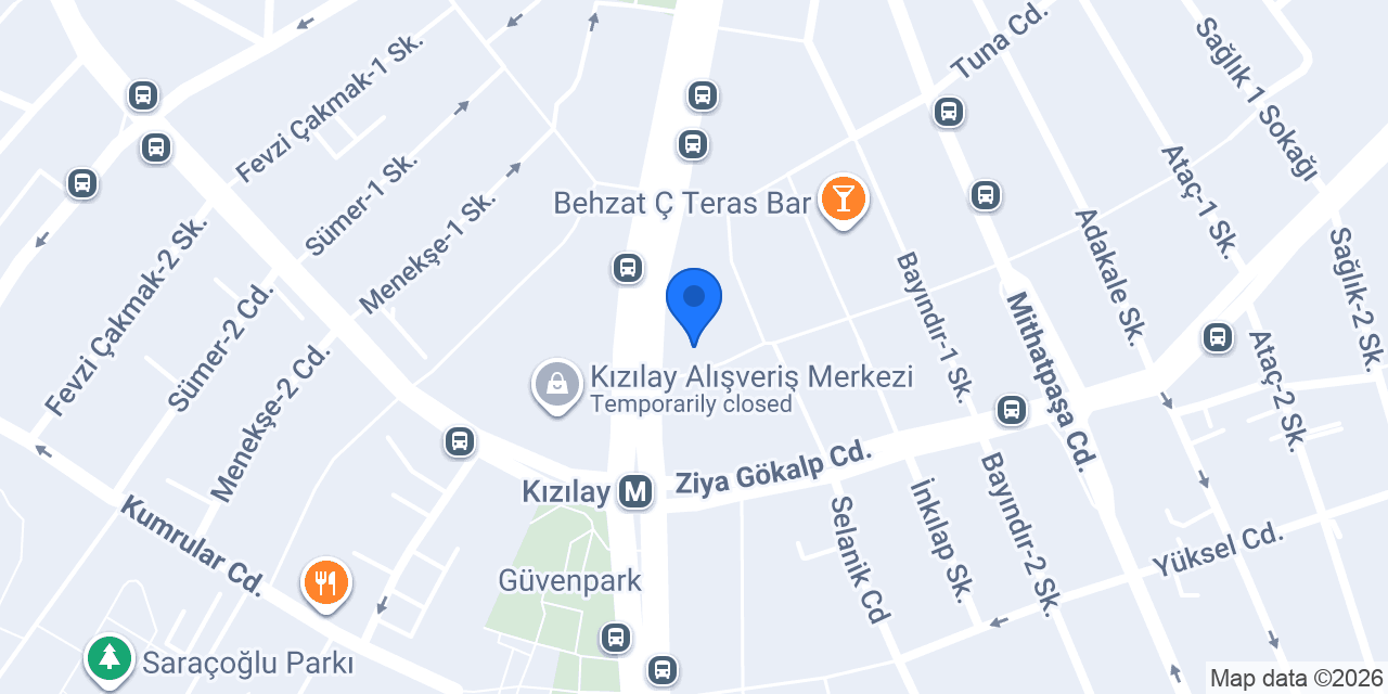 Silver Star Academy yabancı eğitim danışmanı konumu