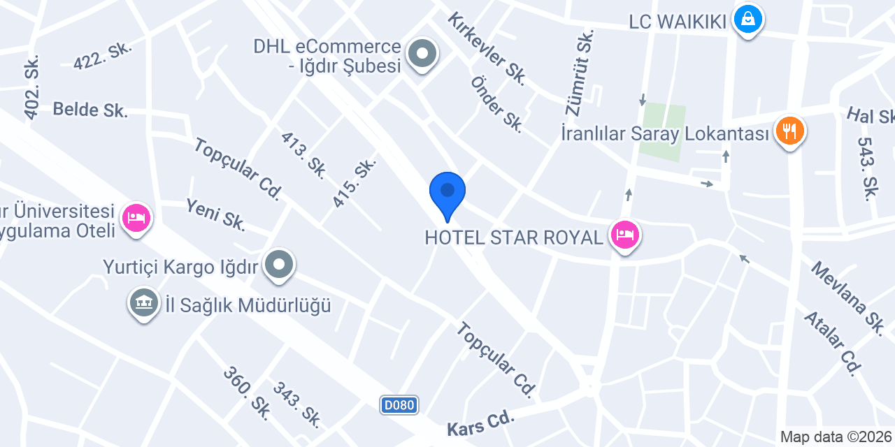 Vip rent a car konumu