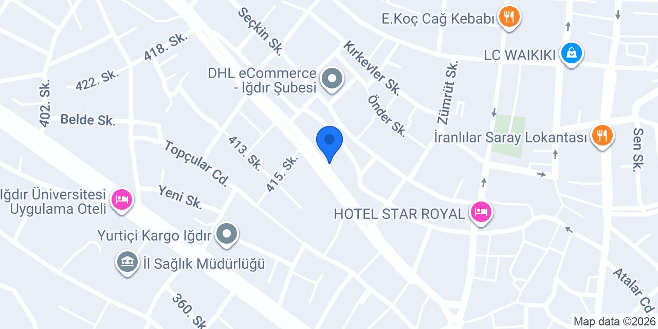 Vizyon Elektrik konumu