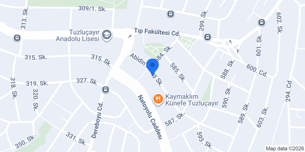 NİLÜFER TERZİ konumu