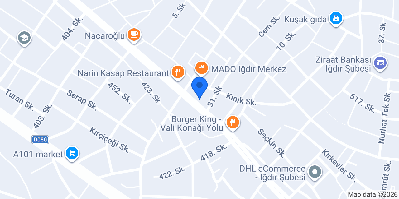 Domino's Pizza Iğdır konumu