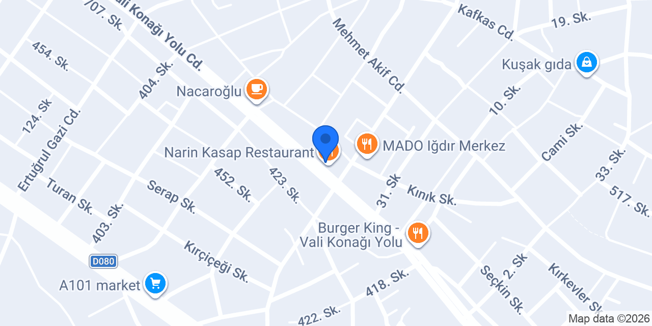 SİNİ RESTAURANT ıgdır konumu
