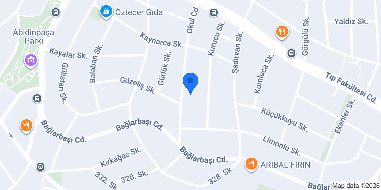 Gerçek Koltuk Yıkama konumu