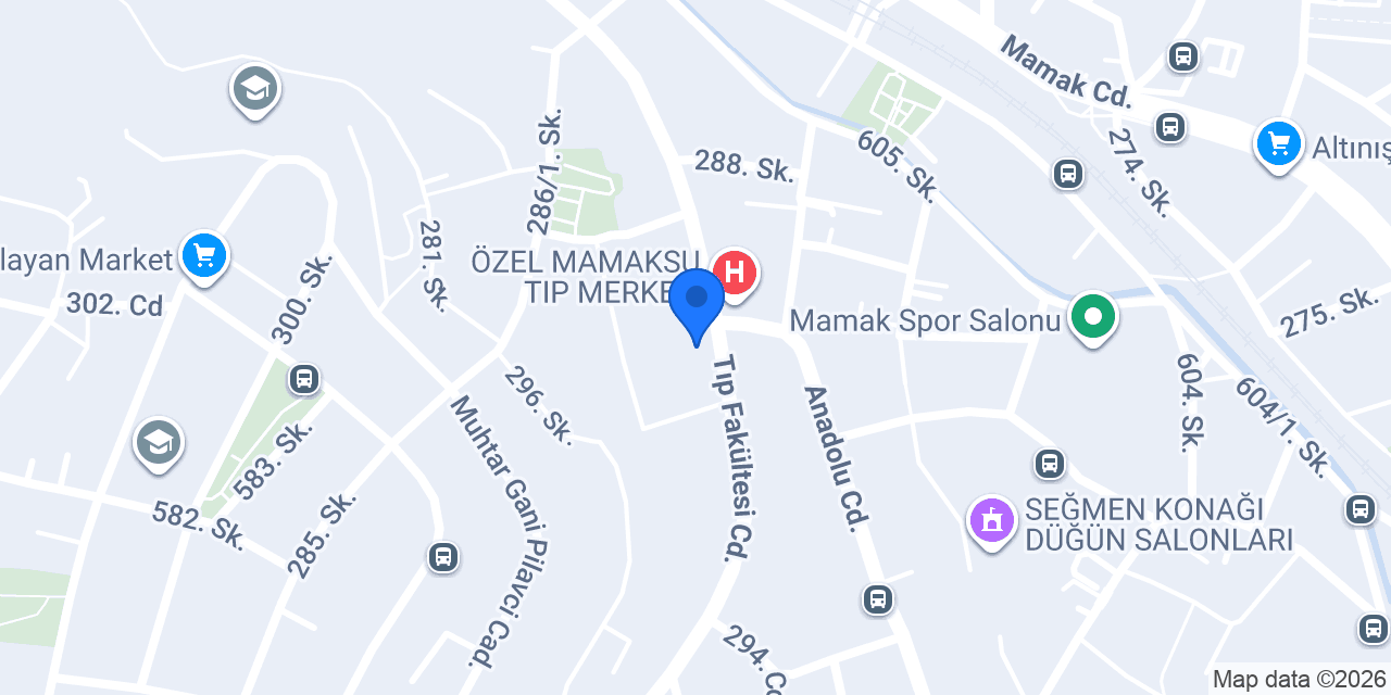 Özel Aden Anaokulu konumu