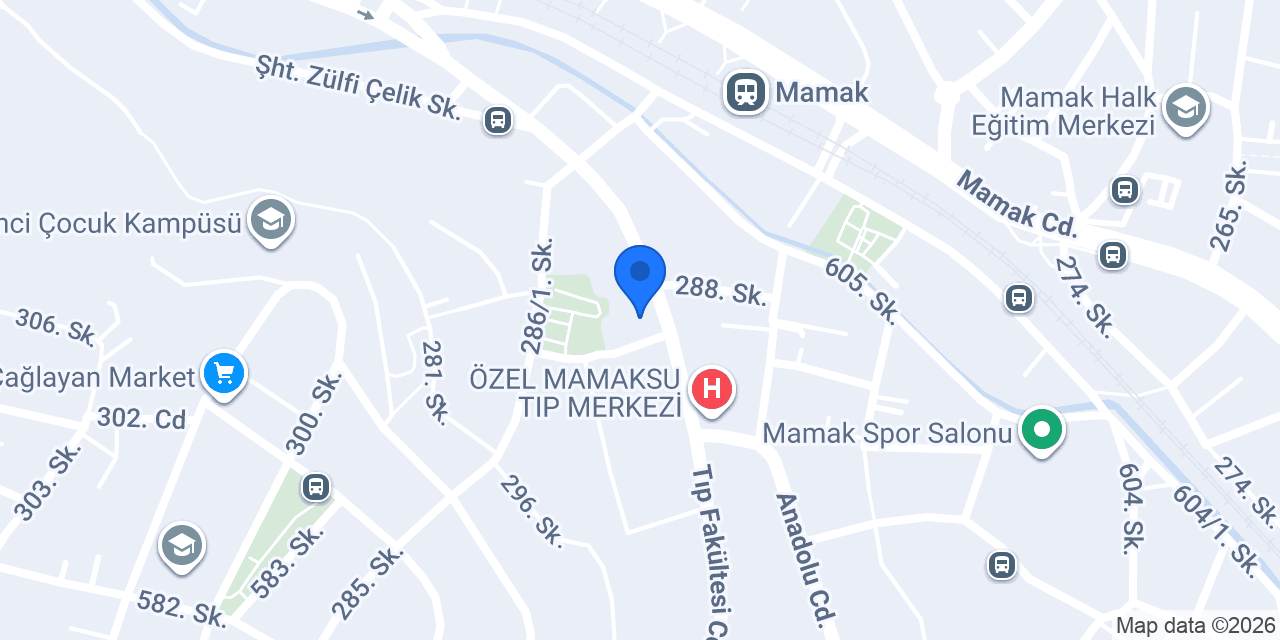 Domino's Pizza Mamak konumu