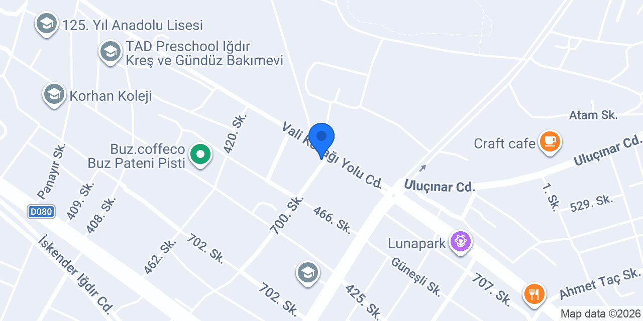 Tek Halı Yıkama konumu