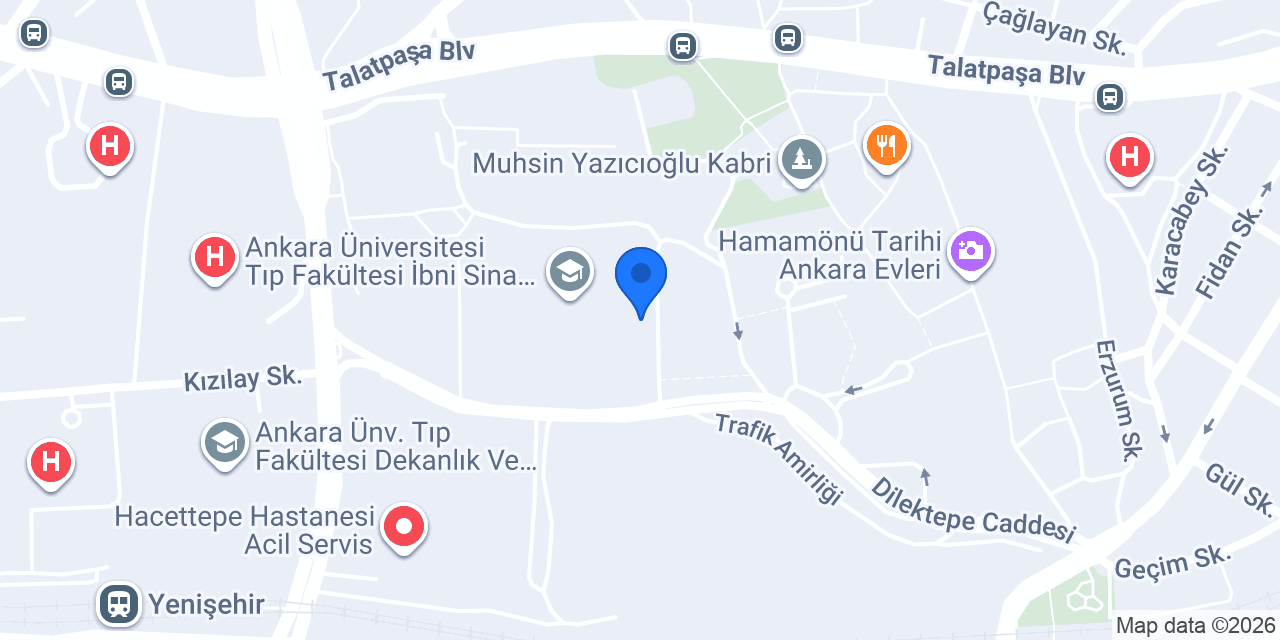 Prof. Dr. Mehmet Erhan Türkoğlu konumu