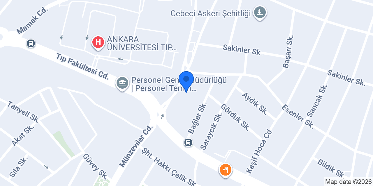 ADANA LEZZETLERİ konumu