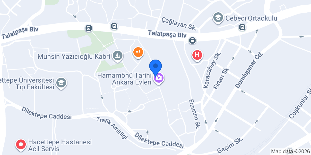 Bacchus Cafe Hamamönü konumu