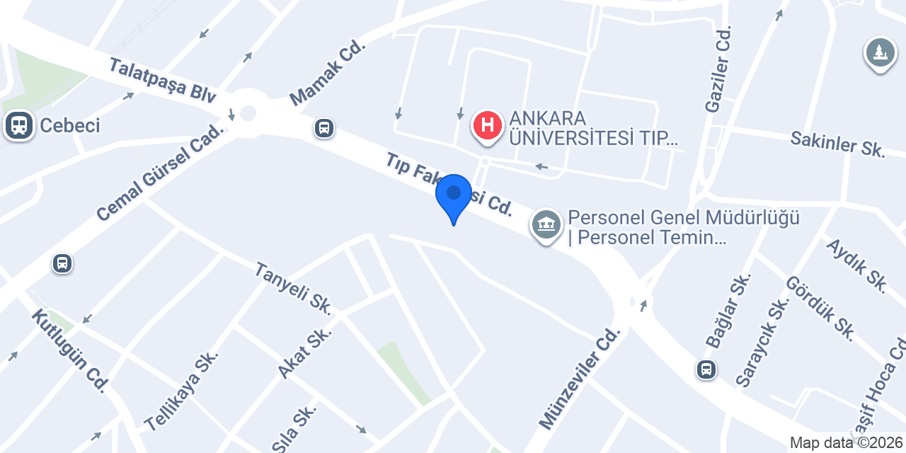 KONSEPT ÇİÇEKÇİLİK konumu