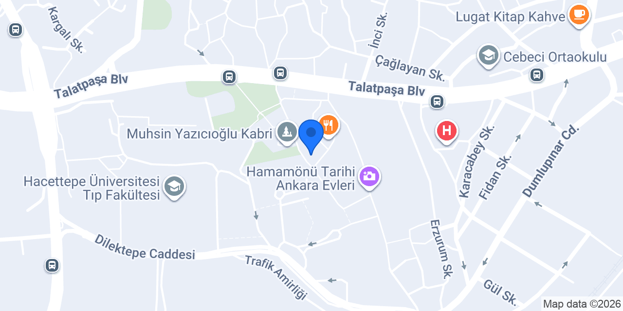 hacetttepe konumu