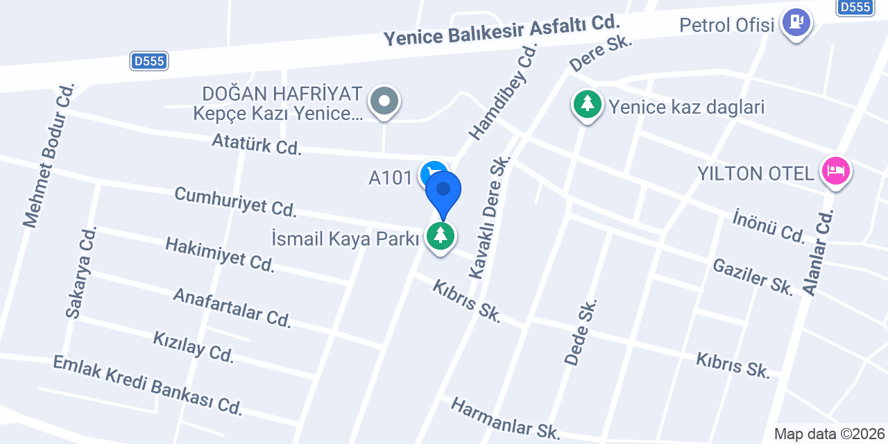 PETLAS-Turan Ticaret konumu