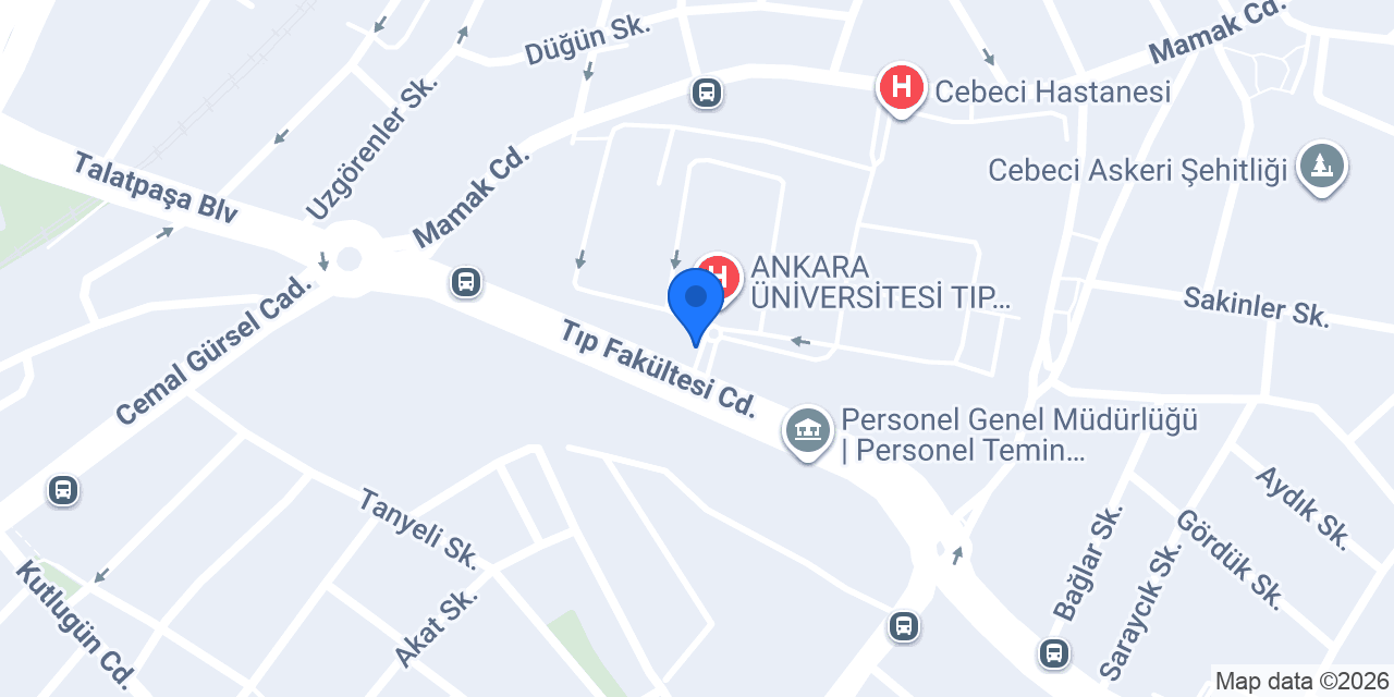 Çınar Cafe konumu