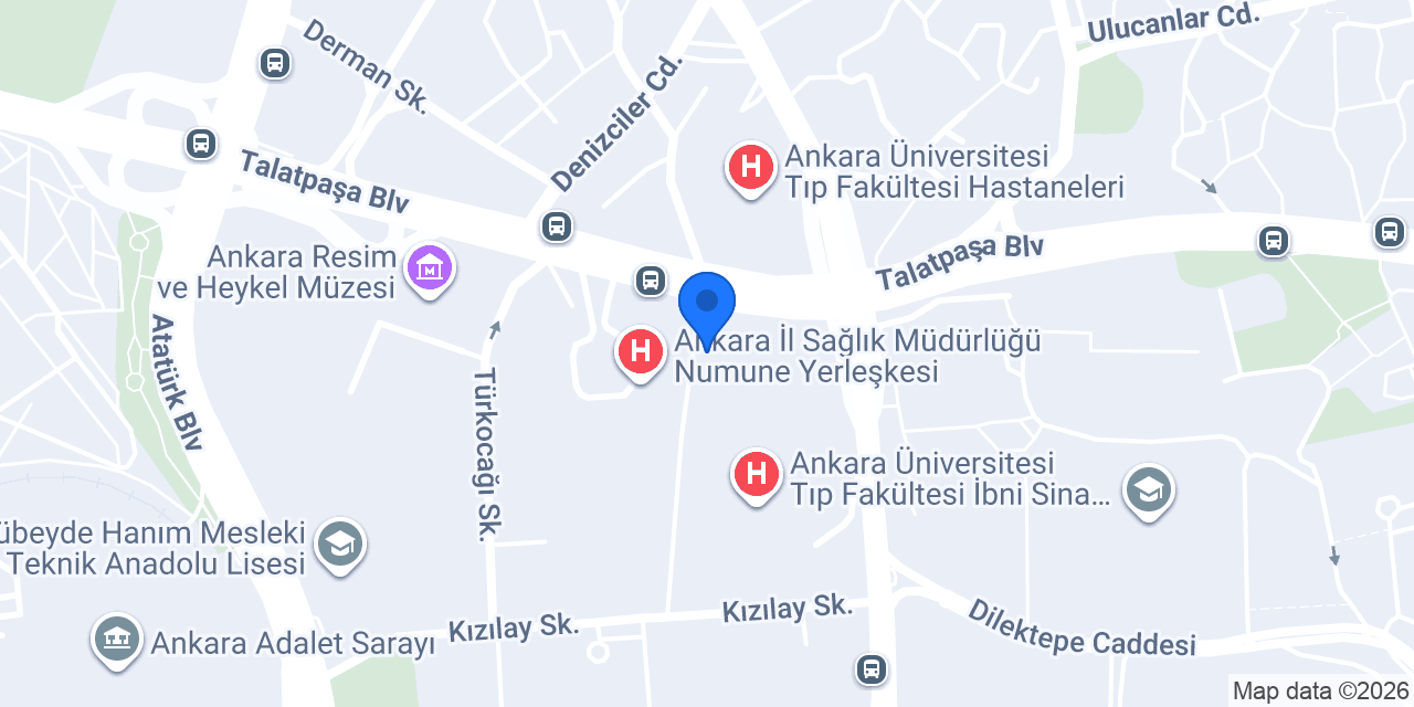 Doçent Dr. Yeşim Akpınar , Dermatoloji konumu